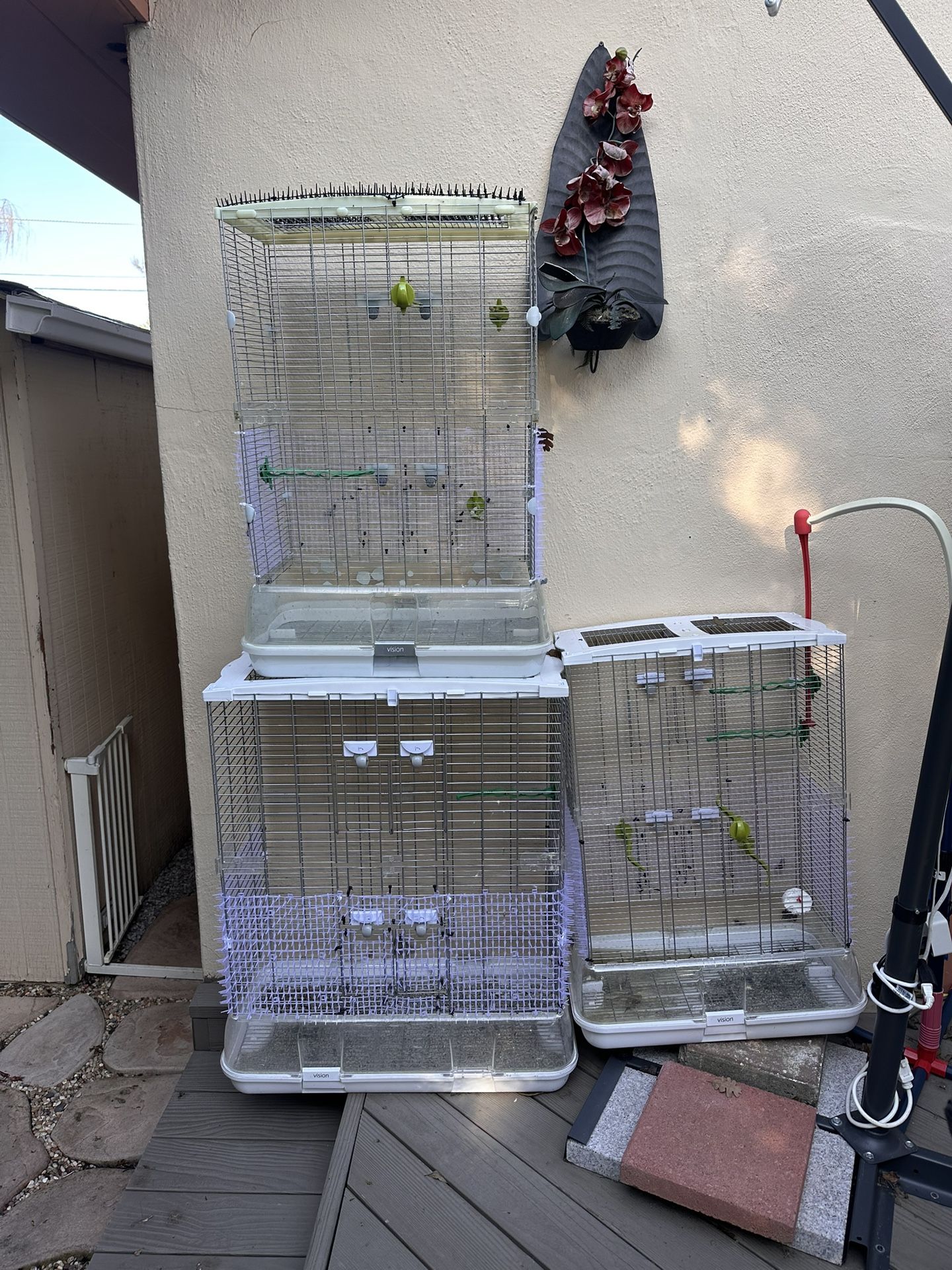 Free Bird Cages (Vision)