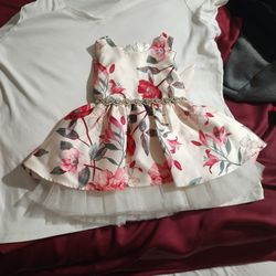 Beautiful Dress 12 Months