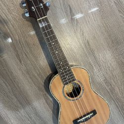 Mitchell MU-70 Ukulele 
