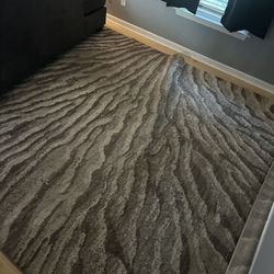 Troy Collection 9x12 Carpet 