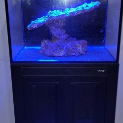 40 Gal Tank