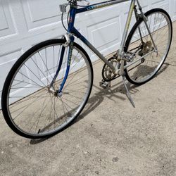 Schwinn Bike 