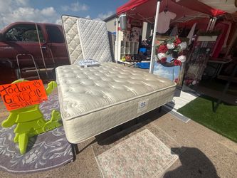 Bed Queen size $100