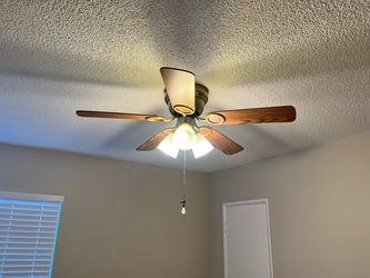 Free ceiling fans