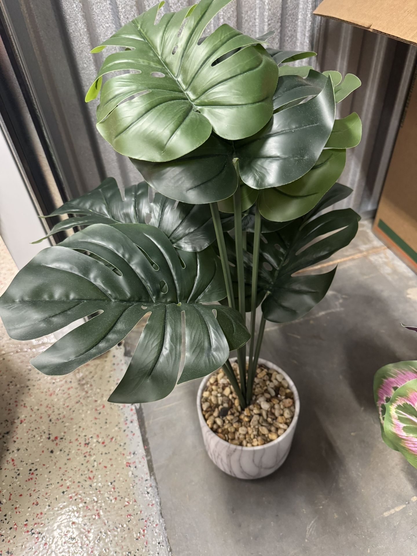 Faux Plant