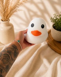 White Duck Squishy