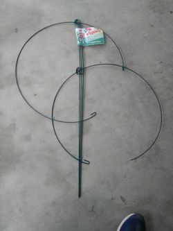 Plant support new