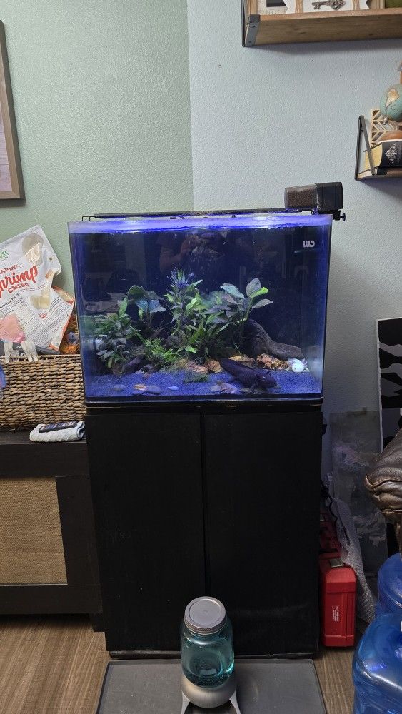 JbJ 45 Gallon Fish Tank