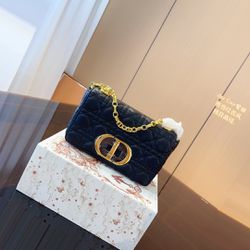 Sophisticated Dior Caro Bag