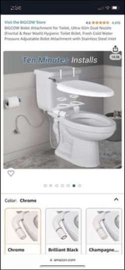Bidet Toilet