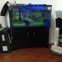 Fish Tank