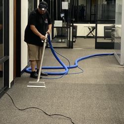 Carpet Cleaner 
