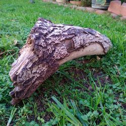 Genuine Driftwood For Aquariums Terrariums Decor 