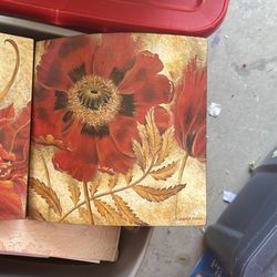 Beautiful Red/orange Flower Set