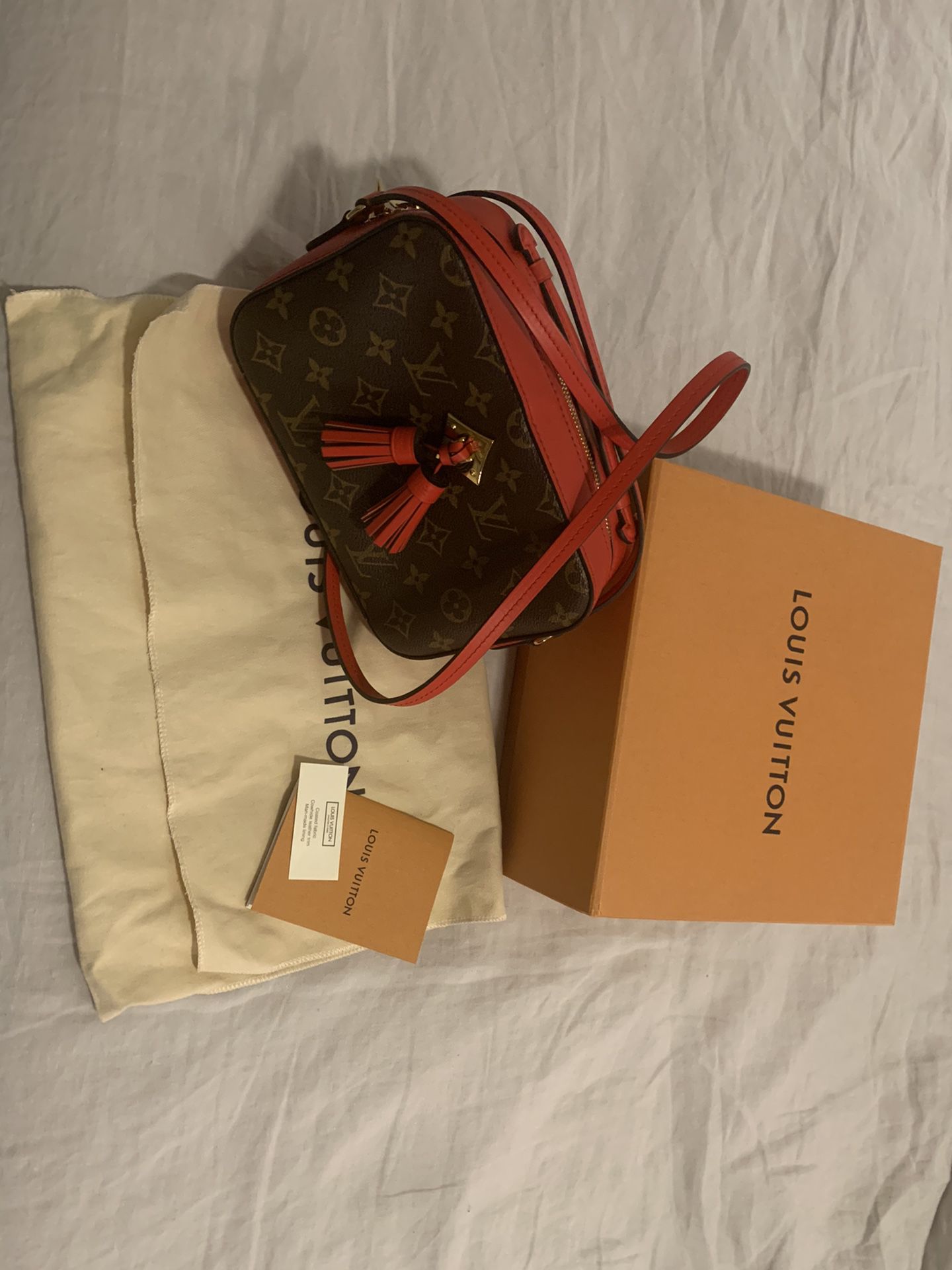 Authentic Louis Vuitton SAINTONGE bag Nib