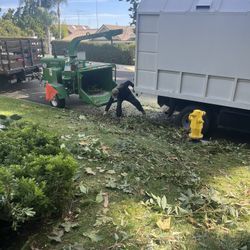 Stump Grinding Message