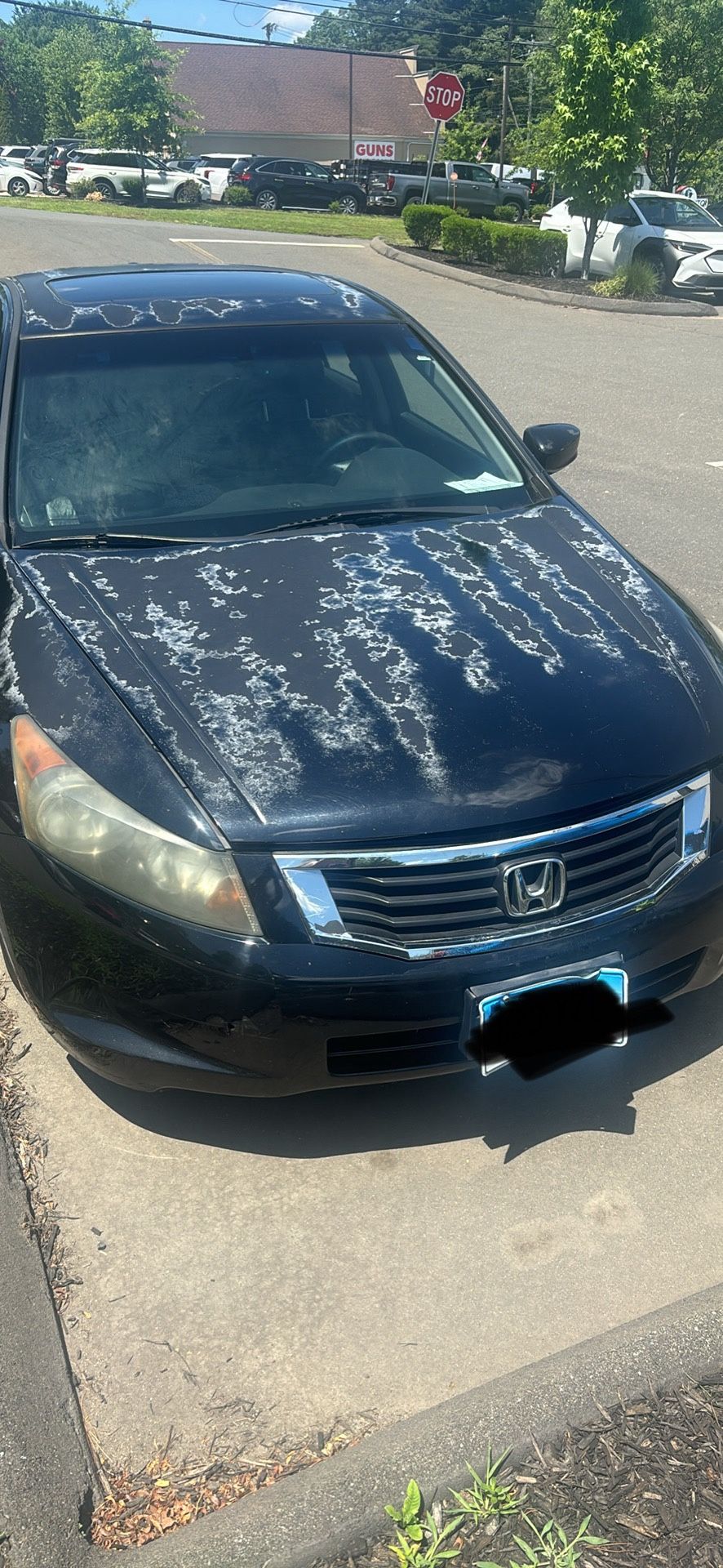 2008 Honda Accord