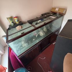 125 G Tank 