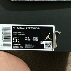 Air Jordan 12 retro