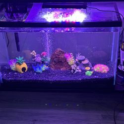 30 Gallon Fish Tank Complete 
