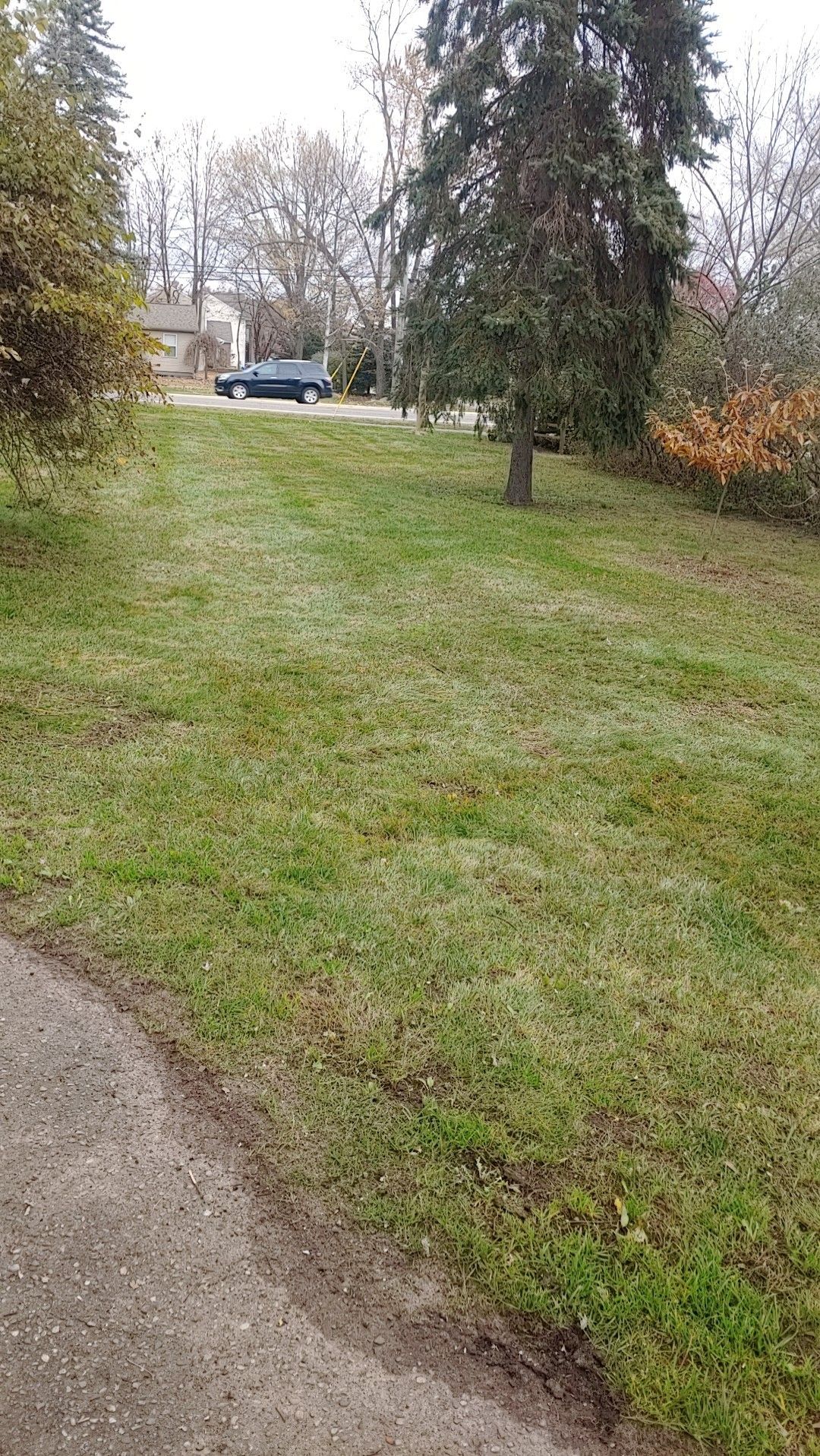 Snow plowing and fall clean-ups signing up for lawn service for next year