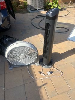 Fans