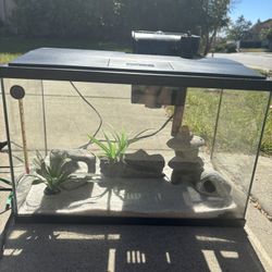 5 GAL fish Tank & Everything 