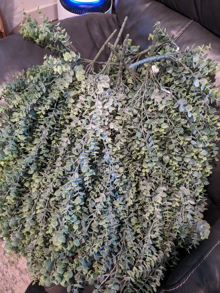 Eucalyptus Greenery