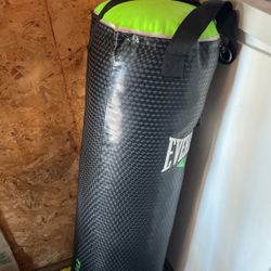 Everest Punching Bag Stand With Speed Bag 