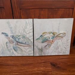 Two Sea Turtle Pictures