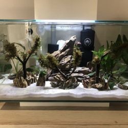 6 Gallon Fluval Edge