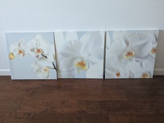 Orchid canvas Paintings