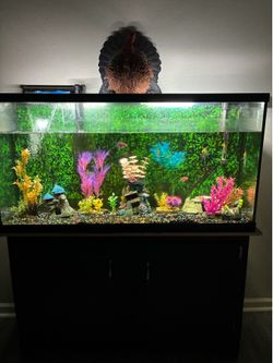 FISHY TANK