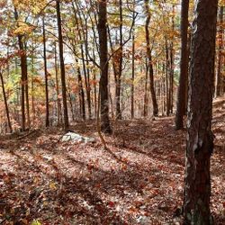 Twin XL Electric Bed Remote Control 