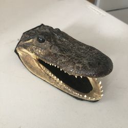Alligator Head & Animal Wood Fixtures  