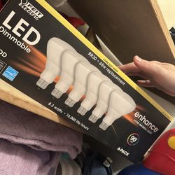 Light Bulbs 