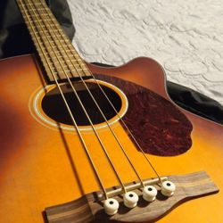 Fender Acoustic/electric Bass