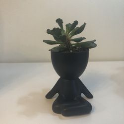 Pot Head Ceramic Succulent Planter