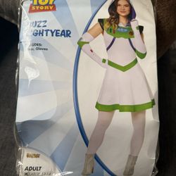 Buzz Lightyear And Woody Costume