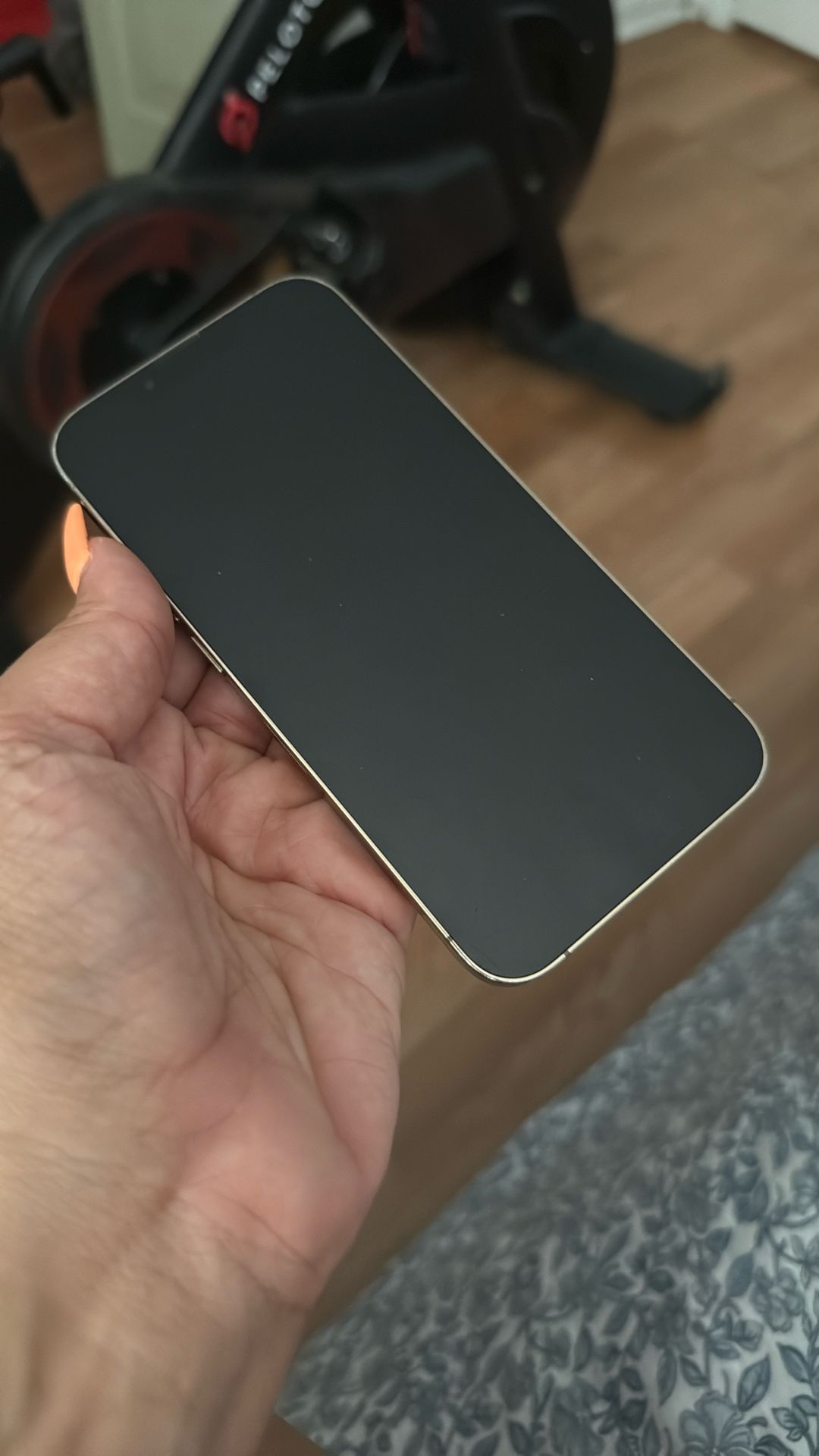 Unlocked Gold iPhone 13 Pro 256G