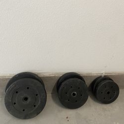 Barbell & Weights - Gym 