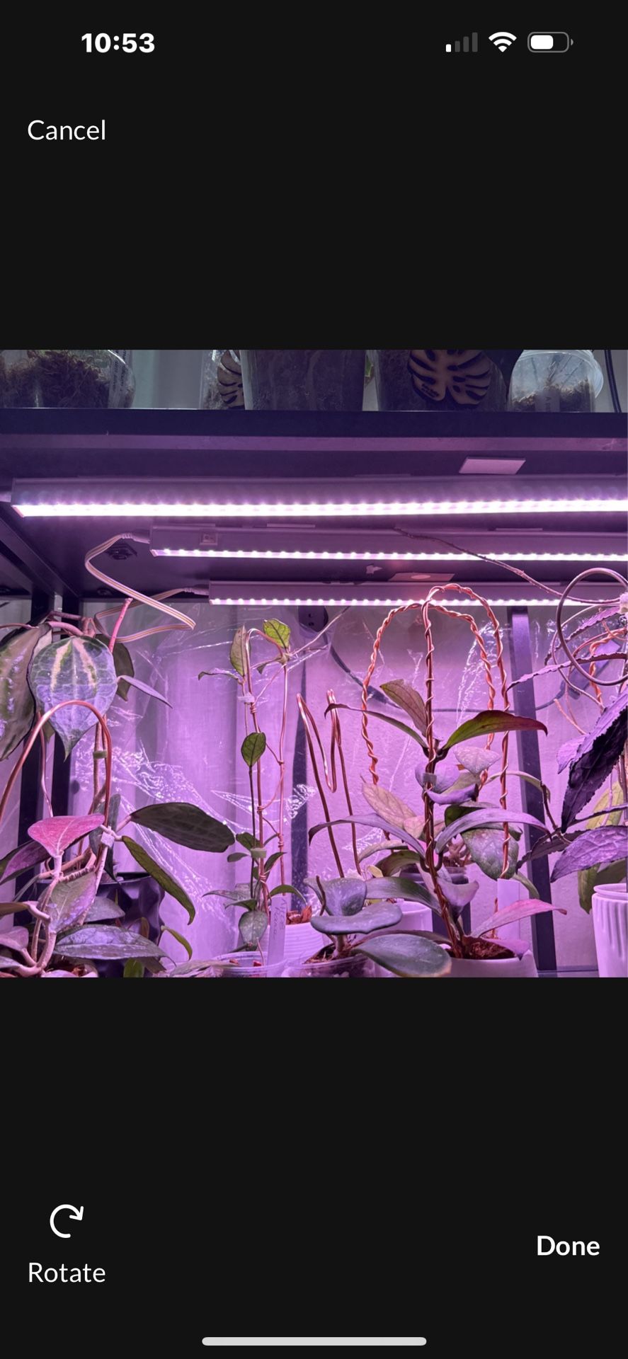 Barrina T5 Grow Lights ***18***lights Connects