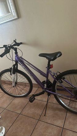 Mountain Bike Purple
