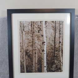 Alan Majchrowicz Nature Trees Sepia Color, Metal Frame