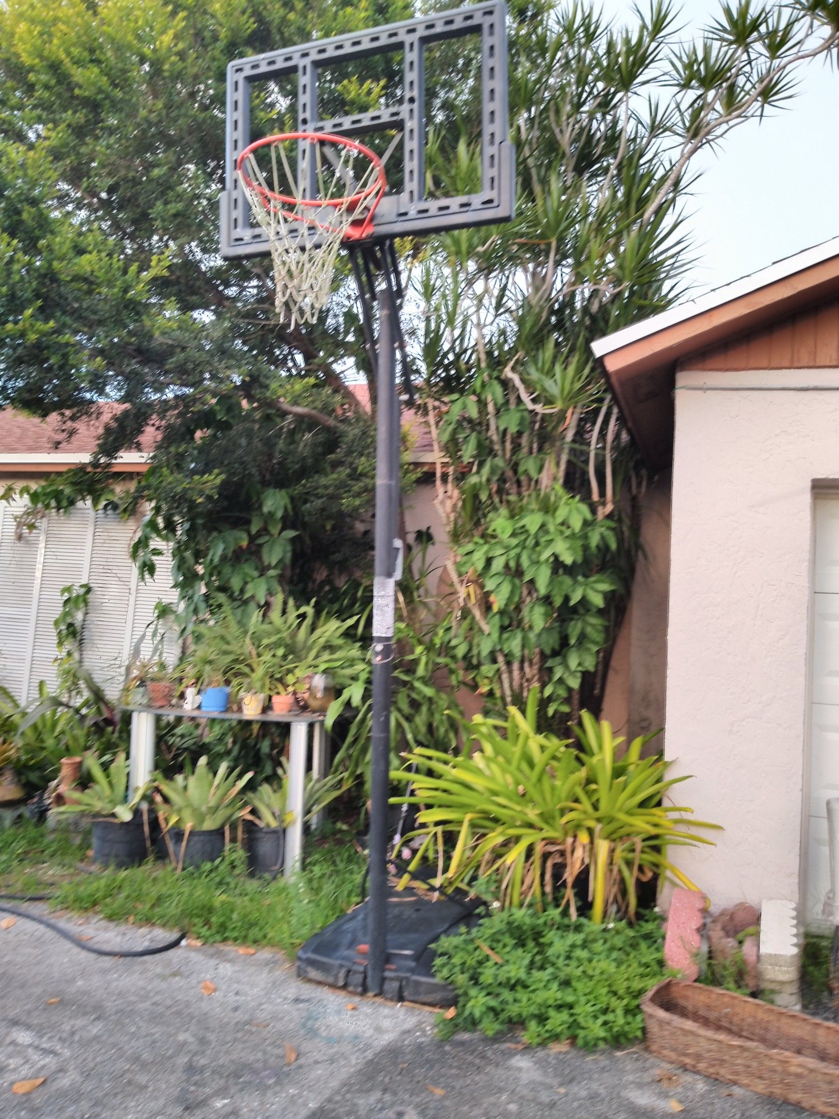 Basketball hoop