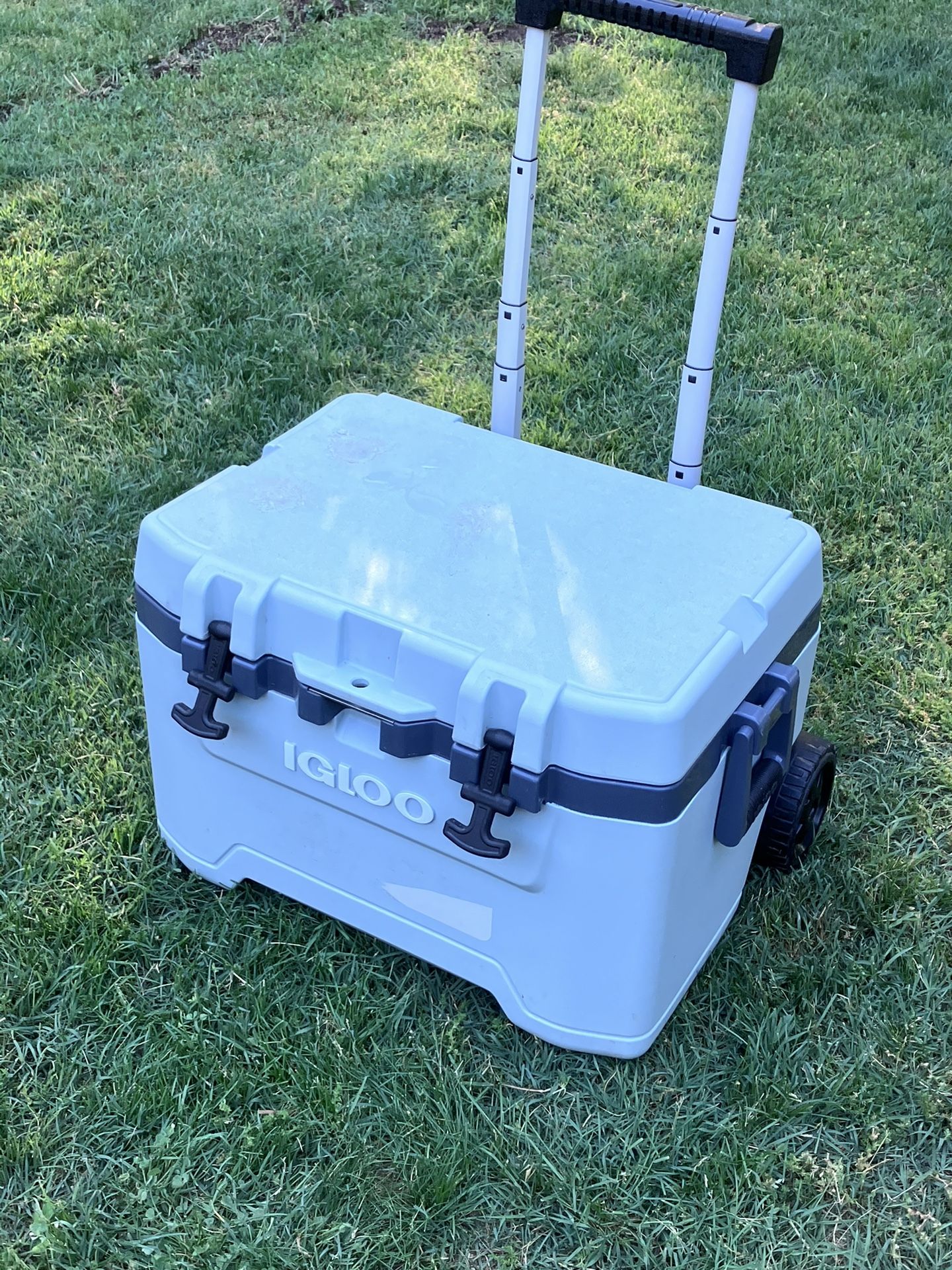 Igloo 52 Qt Ice Chest With Wheels And Handle