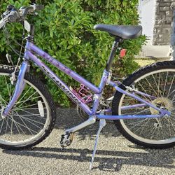 Schwinn Frontier Bike