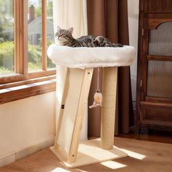 Cat Scratching Post And Bed 
