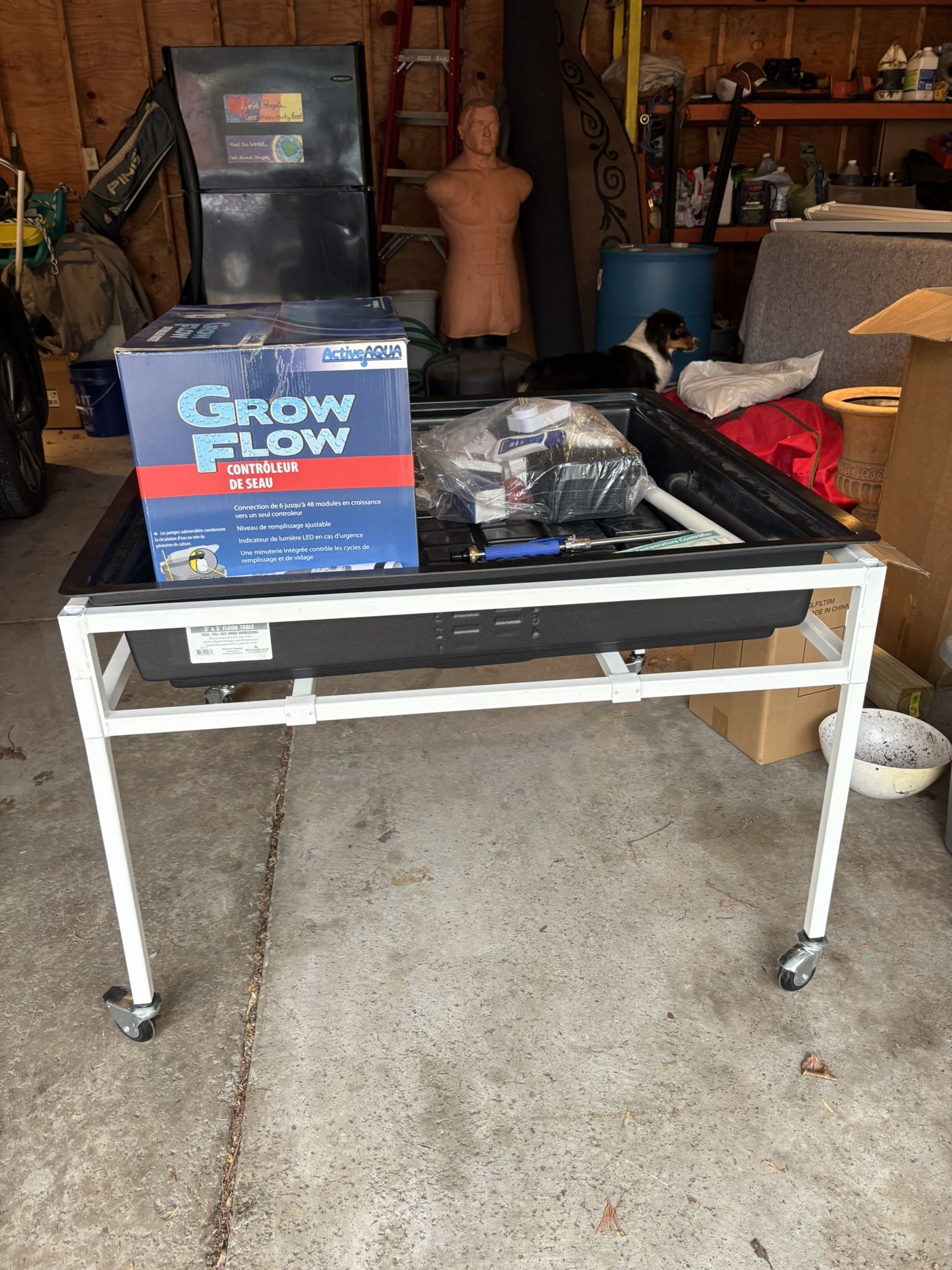 Hydroponics Starter Kit