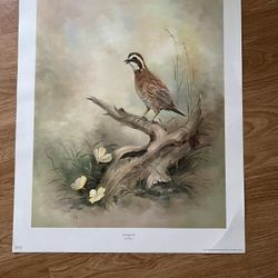 “Morning Call” Print By Betty Allison 